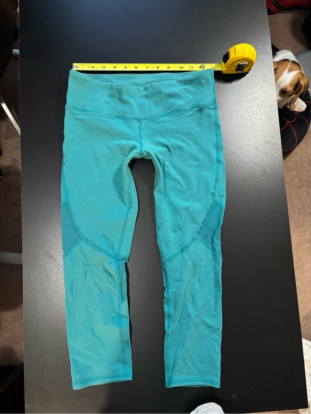 Alo blue leggings. Rip tag removed. Please see pictures for measurements.